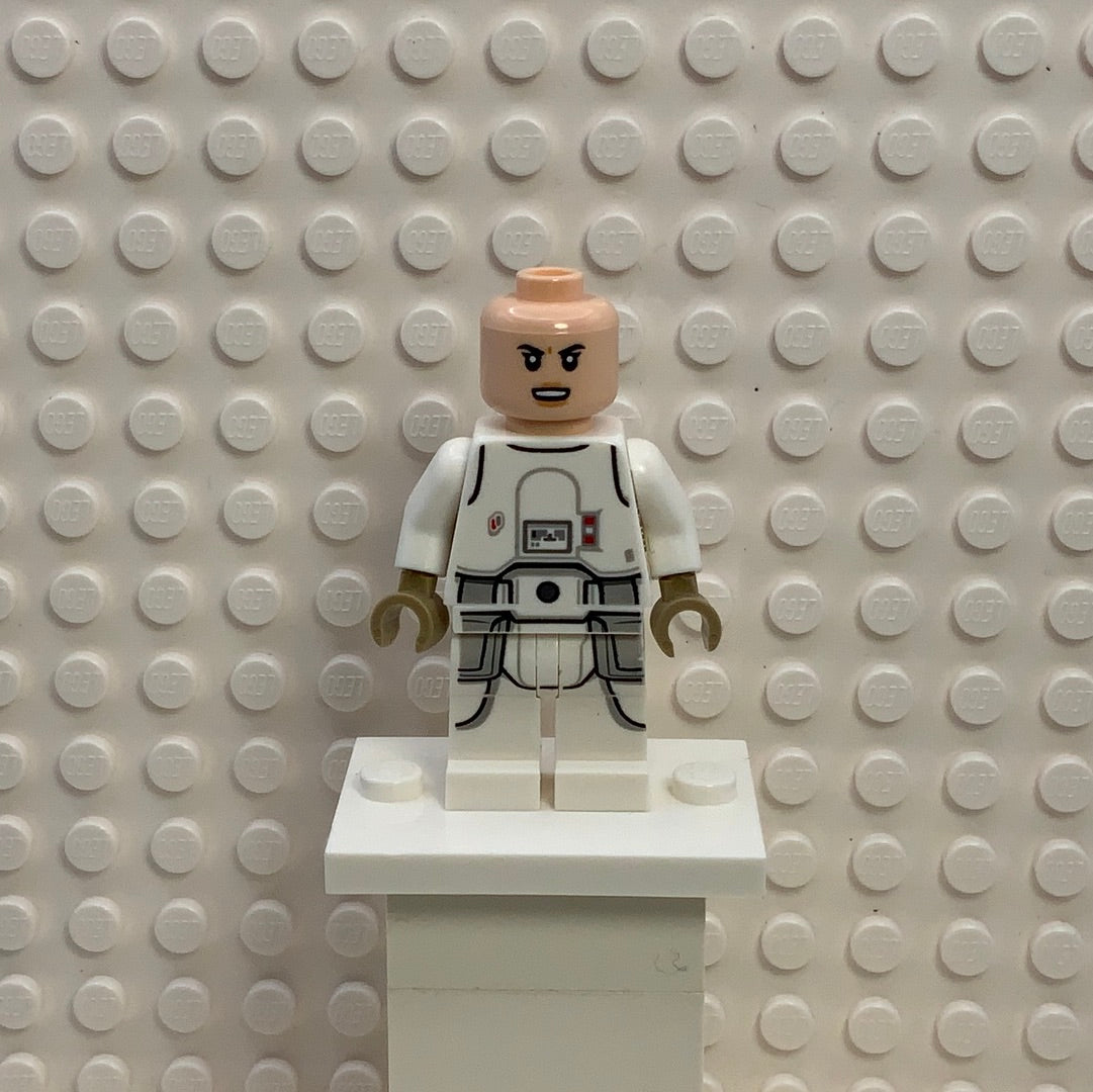 Snowtrooper, sw1178