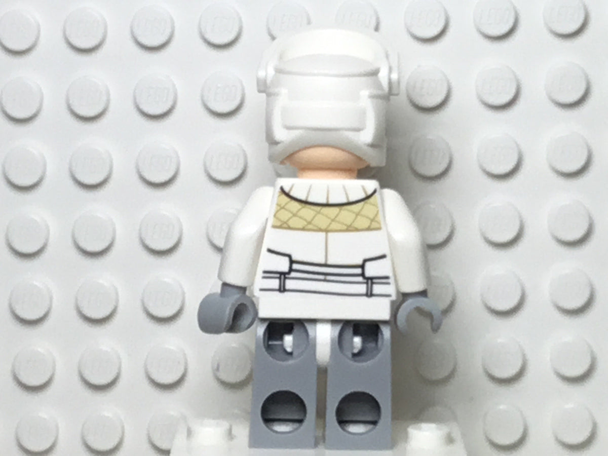 Hoth Rebel Trooper, sw0678