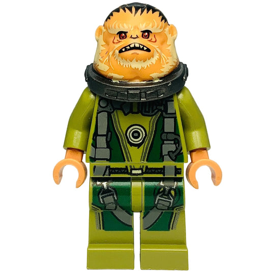MISPRINT Bistan, sw0780 - LEGO® Star Wars Minifigure