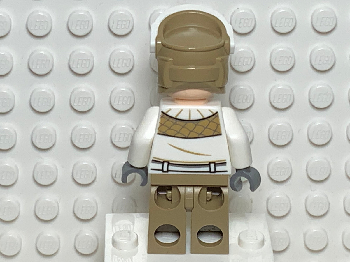 Hoth Rebel Trooper, sw1008