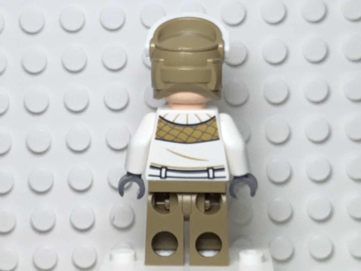 Hoth Rebel Trooper, sw1015