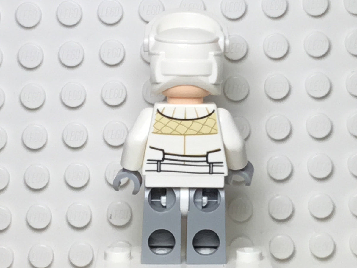Hoth Rebel Trooper, sw0760