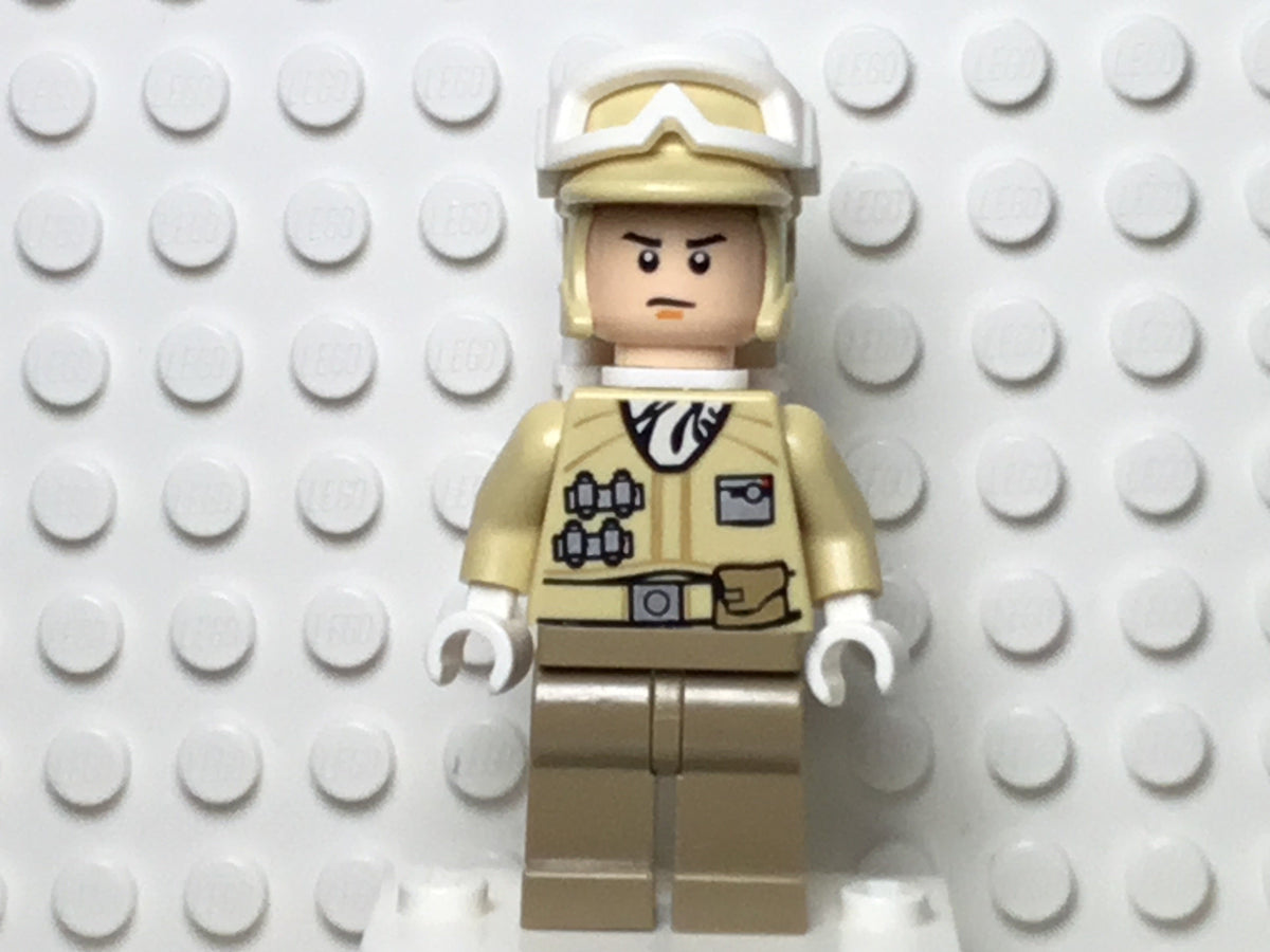 Hoth Rebel Trooper, sw0259