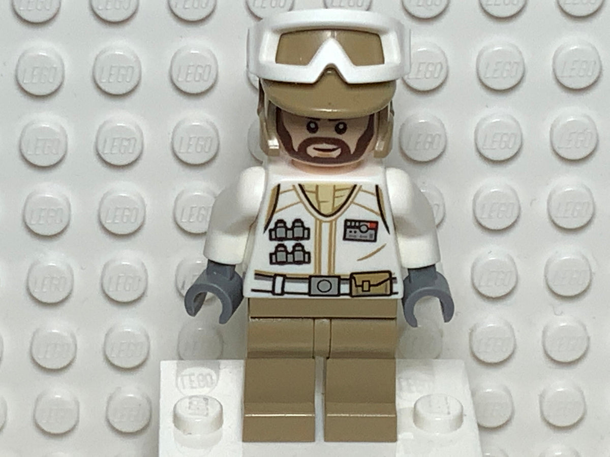Hoth Rebel Trooper, sw1008