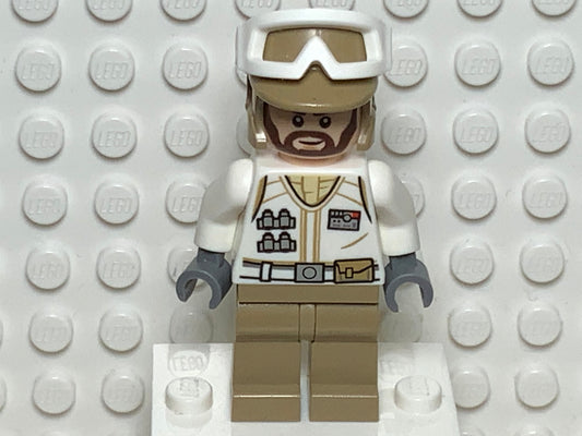 Hoth Rebel Trooper, sw1008