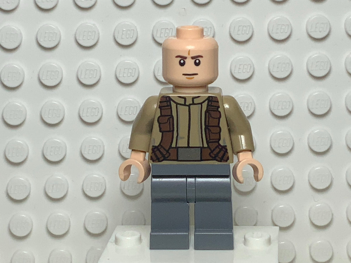 Resistance Trooper, sw0697